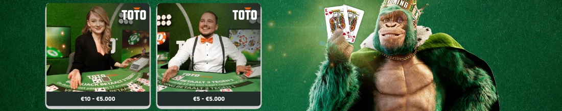 Wie is TOTO Casino?